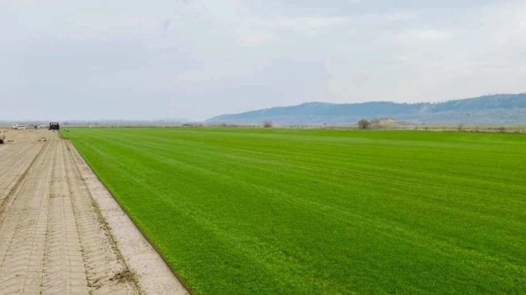 Montare si intretinere gazon rulou natural pentru terenuri extinse in Suceava si imprejurimi